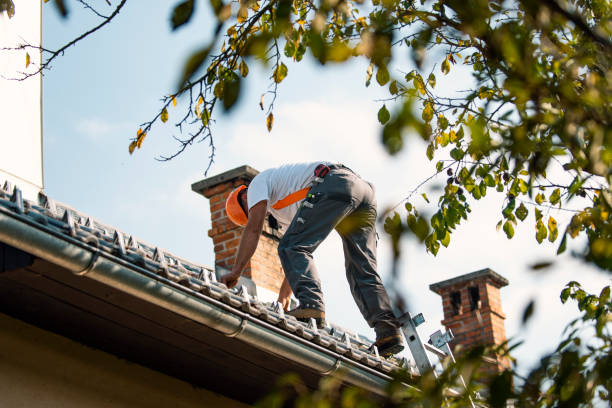 Best Roof Moss and Algae Removal  in Fallston, MD