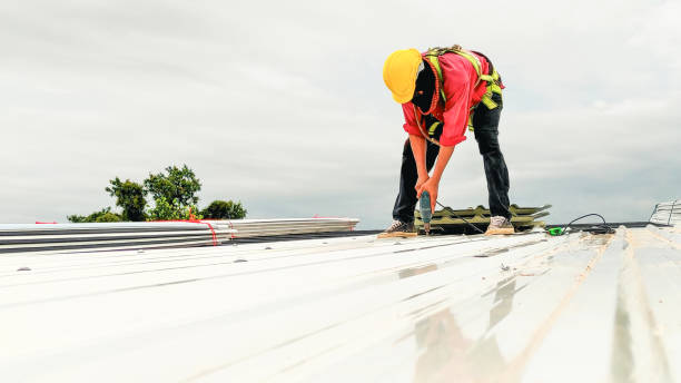 Best Gutter Replacement  in Fallston, MD