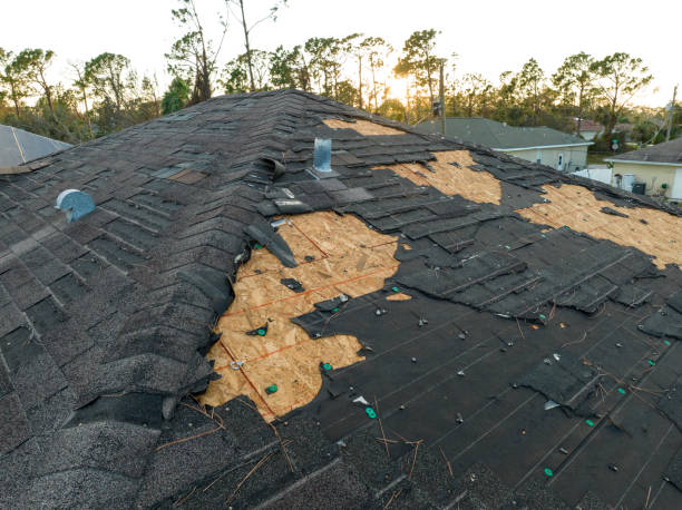 Best Steel Roofing  in Fallston, MD
