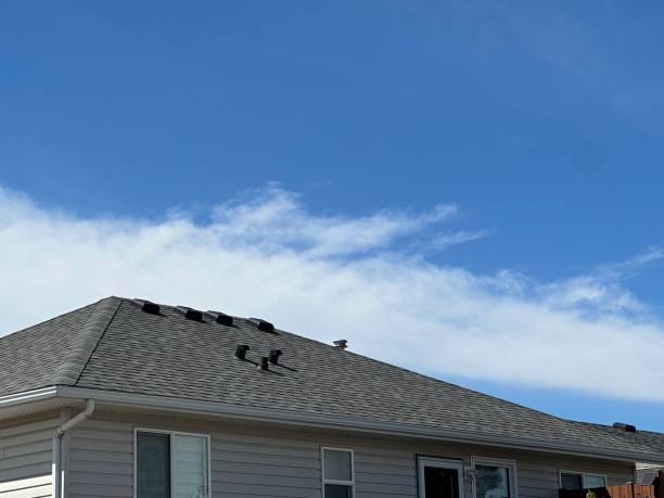 Best Chimney Flashing Repair  in Fallston, MD
